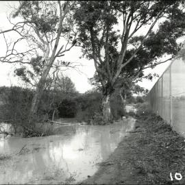 Bulleen Sports Complex, circa 1962