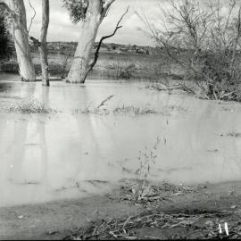 Bulleen Sports Complex, circa 1962