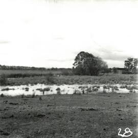 Bulleen Sports Complex, circa 1962