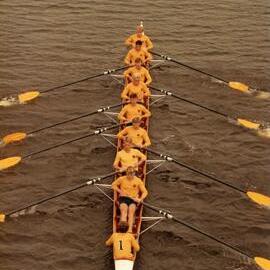 Head of the River, 1985