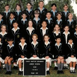 Year 5D, 1993