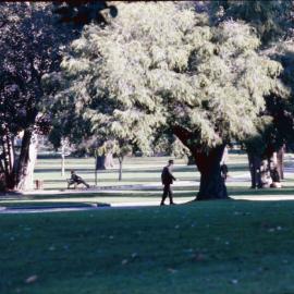 Central Gardens Hawthorn, 1974