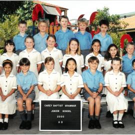 Junior School Kew Class 3D, 2000