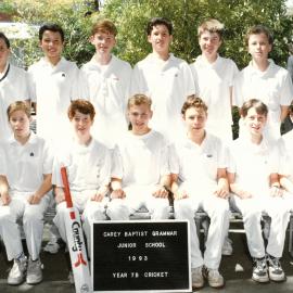 Year 7B cricket team, 1993