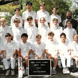 Year 7D cricket, 1993