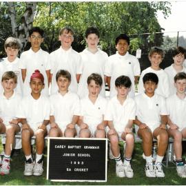 5A cricket team, 1993