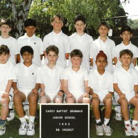 5B cricket team, 1993