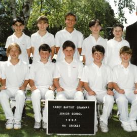 6A cricket team, 1993