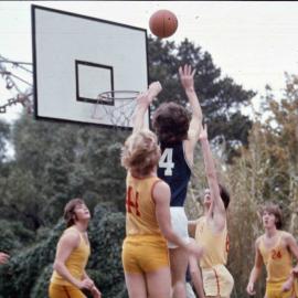 Basketball, 1974